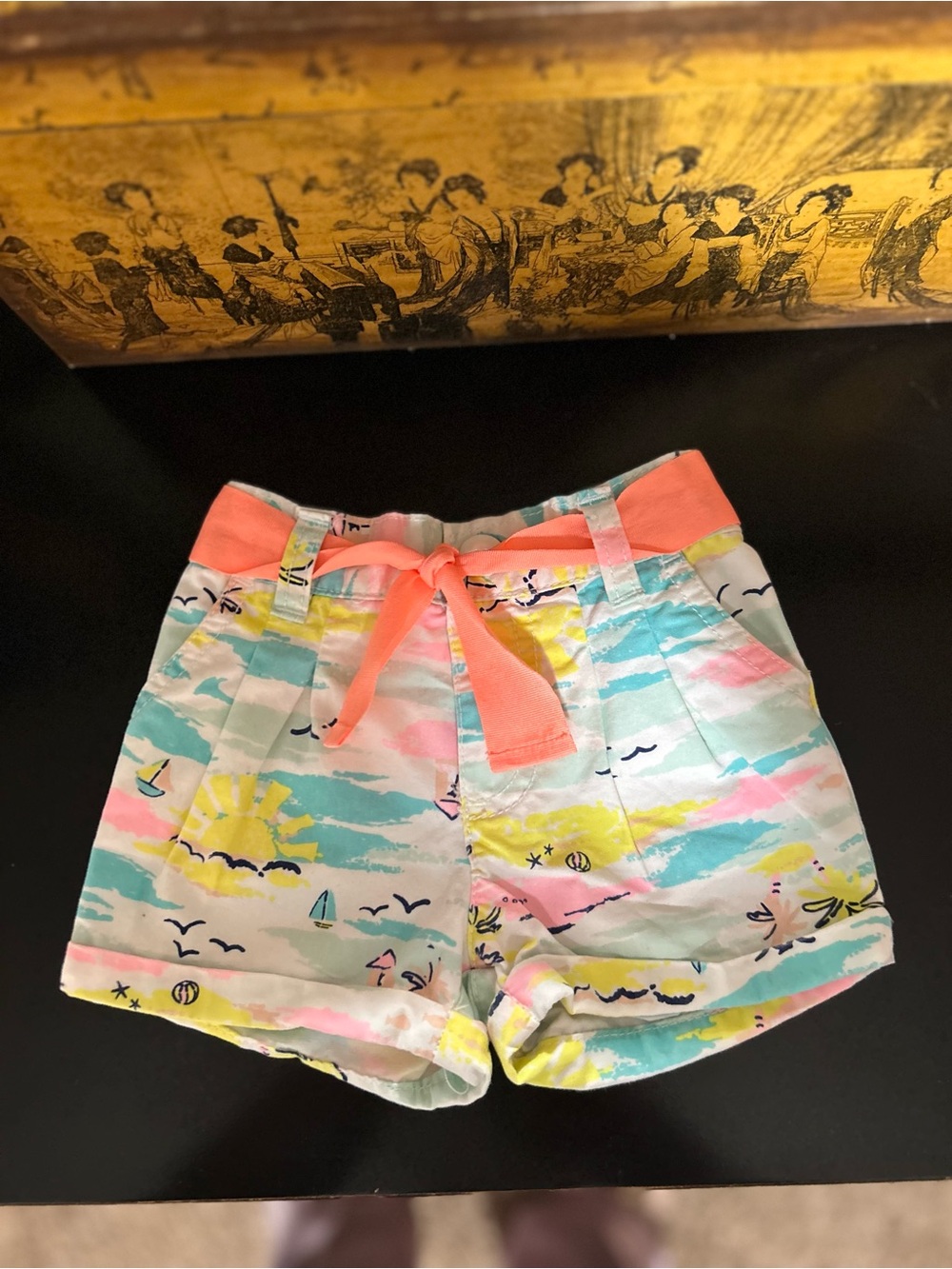 Carters Shorts